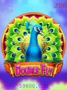 Descubra o Mundo Emocionante do Jogo DoubleFly